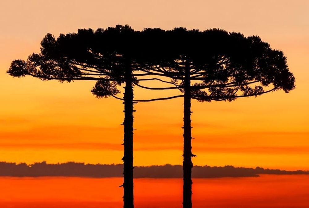 Calor pode aumentar risco de casos de AVC, alerta médico