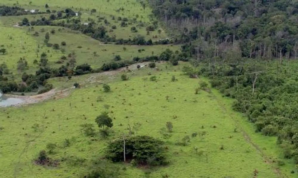 Governo prorroga prazo para georreferenciamento de imóveis rurais
