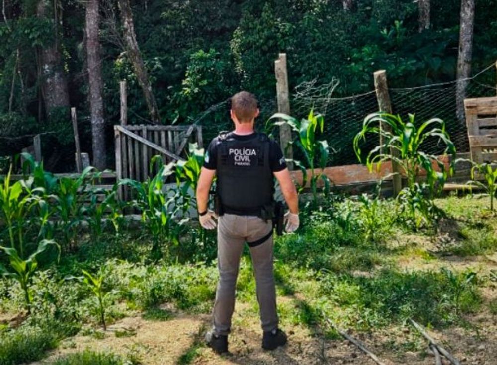Casal é preso em flagrante por tráfico de drogas e descumprimento de medidas protetivas em Irati