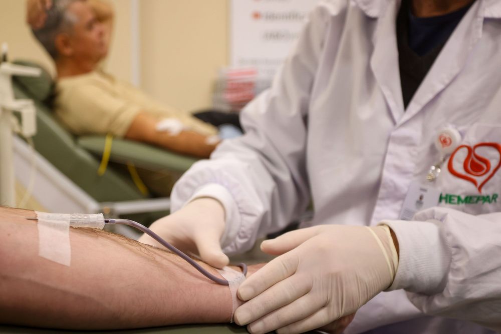 Rede Hemepar celebra Dia Nacional do Doador de Sangue com programação especial
