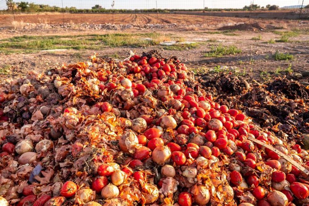 Projeto torna crime o descarte de alimentos aptos para consumo